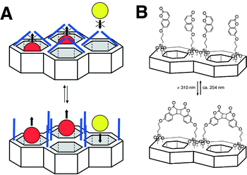 Gatekeeping of nanochannels by photo-dimerization of coumarins attached to the surface of mesoporous silica materials. (Reprinted with permission from ref. 51).