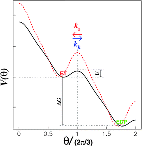 Model energy landscape with a periodic tilt, ΔG > 0. The drop in the barrier from the red dotted curve to the black solid curve takes place once the corresponding substrate binds to the substrate “waiting” site.21