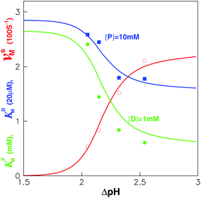 Experimental data28 of vsM, KDM and KPMversus ΔpH fitted by our model with vsmax = 250 s−1(≪ k−P), KDd = 57μM, KPd = 2.65 mM and k−D = 500 s−1. Here, Δϕ = 0 mV, m = 4,62,63 and U = 3kBT. Damping coefficient ξr = 6πηbhr2, is mainly contributed by the friction between c-ring and membrane, where h = 10 nm, is the “rotor” height, and r = 5 nm, is its radius.64 The bilayer viscosity is taken to be ηb = 10−7 pN s nm−2.21,25