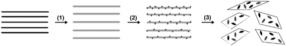 A proposed formation mechanism for CuO:GO nanocomposite. (1) Oxidation of graphite to graphite oxide with larger interlayer spacing. (2) Intercalation and adsorption of Cu2+ ions onto the GO sheets. (3) The nucleation and growth of the CuO crystallites, which in return results in the exfoliation of GO sheets.