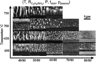 Carbon nanofibers grown from 10 nm of NiFe alloy (50% : 50%) on 10 nm Ti buffer layer by varying growth temperature and ratio of hydrocarbon gas to reducing gas.155 Figure reproduced with permission from: A. V. Melechko, V. I. Merkulov, T. E. McKnight, M. A. Guillorn, K. L. Klein, D. H. Lowndes and M. L. Simpson, J. Appl. Phys., 2005, 97, 041301. Copyright 2005 American Institute of Physics.