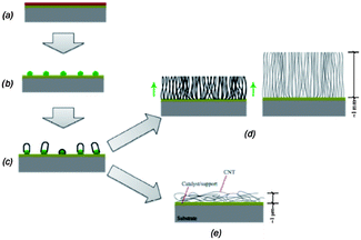 Schematic of CNT growth steps: (a) sample with thin film catalyst; (b) catalyst thin film dewetting and formation of catalyst dots; (c) CNT nucleation on catalyst dots; (d) high catalyst dots density leads to growth of tall carpet of VACNTs; (e) low catalyst dots density leads to entangled carpets of CNTs.171 Figure adapted with permission from Professor A. John Hart, Copyright 2006 Massachusetts Institute of Technology.