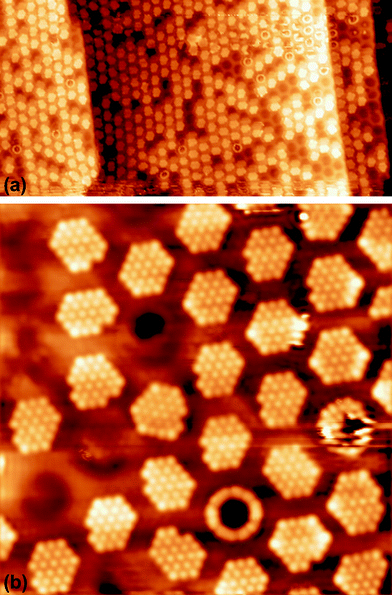 STM images of submonolayer xenon on a nanomesh at 5 K (a) 100 × 50 nm2, US = 1 V, IT = 100 pA, (b) 17 × 17 nm2, US = 250 mV, IT = 50 pA.