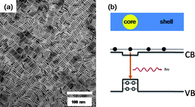 (a) A representative TEM image of CdSe/CdS core/shell QRs with 5 nm diameter and 25 nm length, deposited by drop-casting on a carbon-coated grid. (b) A simplified sketch illustrating the band alignments and electronic levels within a CdSe/CdS core/shell QR.