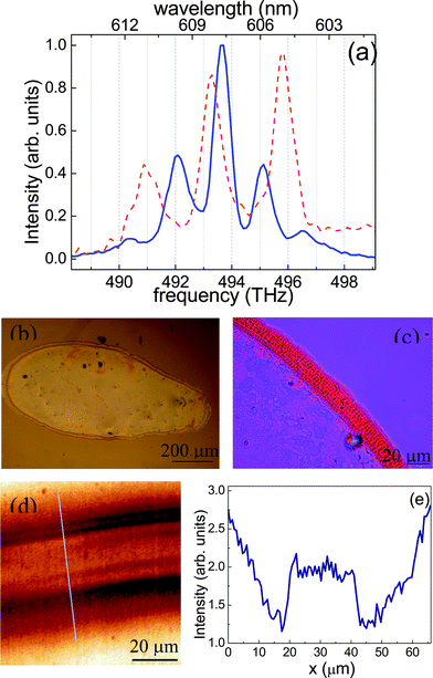 (a) Two examples of spectra of ASE modulated by a Fabry–Perot self-assembled cavity for QRs with 17 nm length. (b) Optical microscopy image of a QR film that exhibits Fabry–Perot cavity interference on the upper and lower border. (c) Image recorded with a polarized optical microscope of the stripe formed at the outer border of the QR film; the red colour corresponds to light linearly polarized parallel to the film edge, while magenta corresponds to unpolarized transmission. (d) Reflectivity image obtained with a confocal microscope (incident light at 660 nm wavelength) of the upper border of the film displayed in panel (b). (e) Signal profile along the line shown in panel (d).