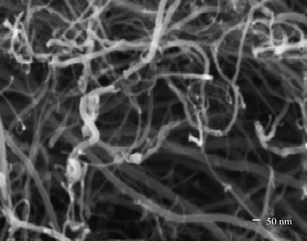 SEM micrograph of synthesized multiwall carbon nanotubes.