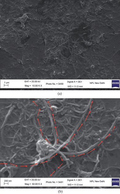 (a) Low; and (b) high magnification SEM image of PFO coated MWNT networks formed from PFO + 1.0% MWNTs solution blend spin coated on ITO coated glass substrate (The arrows denote the multiple current pathways visible from one end of the film to another).