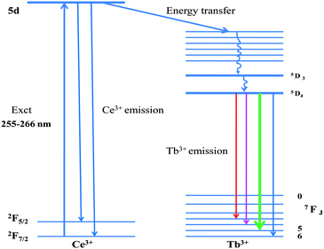 Energy level diagram of Na(Y1.5Na0.5)F6:Ce,Tb with electronic transitions and energy transfer process.