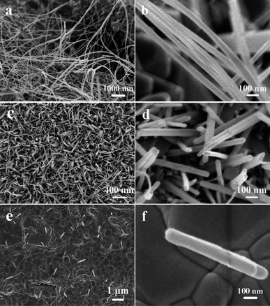 SEM images of the as-synthesized samples.