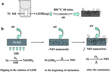 (a) The simple route of the synthesis of NiO/Ni foil nanostructures; (b) the possible mechanism for the formation of NiO nanowires.