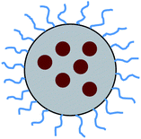 Amphiphilic copolymer micelle whose core is loaded with functional nanoparticles, e.g. Au, CdSe etc.