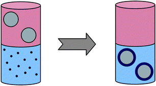 Preparation of biocompatible core–shell nanoparticles from their high-quality hydrophobic precursors by phase transfer.