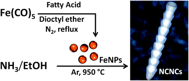 Synthesis of nitrogen-doped carbon nanotube cups (NCNCs) by chemical vapor deposition (CVD) reaction from NH3 and EtOH using monodispersed Fe nanoparticles (FeNPs) as a catalyst.