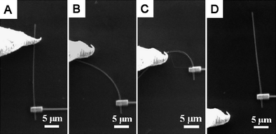 SEM images of a single boron nanowire under a mechanical bending process. Reproduced from ref. 81, copyright (2008) American Institute of Physics.