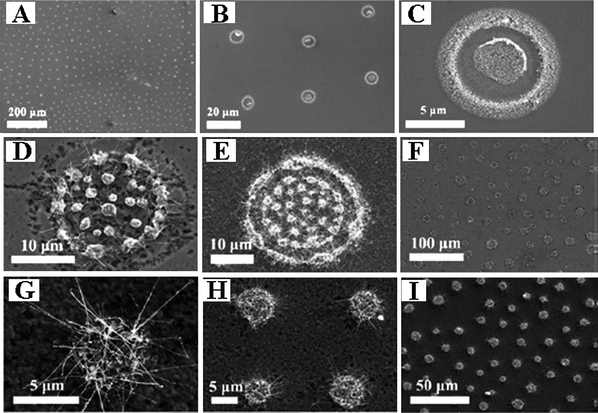 (A–C) The SEM images of assembled Fe3O4 nanoparticles on silicon substrate; (D–I) The SEM images of patterned boron nanowires grown on the substrate. Reproduced from ref. 82, copyright (2009) American Institute of Physics.