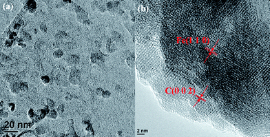 TEM micrograph of the iron–carbon core–shell NPs.