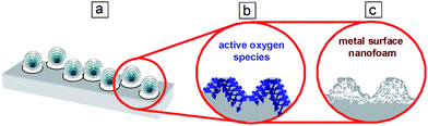 Scheme of the ultrasound-driven design of metal surface nanofoams: (a) the physical effect on the metal surface and (b) the chemical effect providing the formation of a developed metal surface nanofoam structure (c).