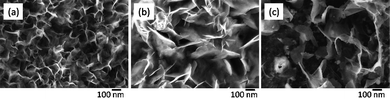 SEM images of (a) aluminium, (b) magnesium alloys and (c) stainless steel after 40 min sonication at 57 W cm−2.