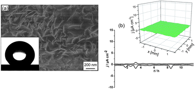 SEM image of an aluminium plate covered by layered double hydroxide laurate (a), inset shows water contact angle onto this surface. (b) Time monitoring of the anodic and cathodic activity on the aluminium surface covered by layered double hydroxide laurate, inset shows current density maps of the surface after 12 h immersion in 0.1M NaCl.