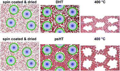 Directly after spin coating and drying at 60 °C (left) micelles are irregularly arranged and in between single precursor units are dispersed. Upon DHT the precursors condense to a loose network with partially very small crystallites but also many smaller precursor aggregates that are randomly arranged around the now ordered micelles (top middle). Upon calcination at 400 °C small nanocrystallites are formed and the whole film shrinks significantly perpendicular to the substrate (top right). In contrast during psHT at 100 °C the inorganic precursor condenses between the micelles arranging in a more ordered fashion. Small, uniformly sized crystalline nanoparticles are formed between the micelles stabilizing the structure (bottom middle). This process results in so much stability for the structure that upon template removal the crystalline particles slightly grow but only a small shrinkage of the pores normal to the surface can be observed (bottom right). The pores maintain their shape and are highly accessible for application.