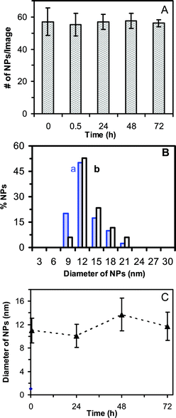 Characterization of stability of 0.46 nM Ag NPs incubated with cell culture medium at 37°C for 72 h at single NP resolution using DFOMS and in bulk solution using DLS: (A) Plot of the average number of single Ag NPs per optical image versus incubation time shows that the total number of NPs (concentration of NPs) remains essentially constant over 72 h. For each experiment, at least 20 images similar to those in Fig. 1C were acquired in 20 different locations (volumes) of NP solution at each given time using DFOMS. The average number of NPs per image is calculated by dividing the total number of NPs by the number of images. (B) Histograms of size distributions of Ag NPs incubated with the medium at (a) 0 and (b) 72 h, measured by DLS, show the average diameters of NPs at 11.0 ± 2.1 nm and 11.7 ± 2.4 nm, respectively. (C) Plot of average diameters of Ag NPs incubated in the medium measured by DLS versus incubation time shows that the average diameters of NPs remain essentially unchanged over 72 h. The average diameter of NPs in the medium over 72 h is 11.2 ± 2.8 nm.