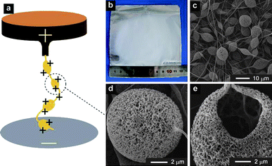 a) Schematic EJ setup. b) Image of EJ mats taken by a digital camera. c–e) Gradually enlarged SEM images of EJ mats. The experimental parameters for b–e) are: PS concentration 6%, PDMS/PS = 1 : 3, DMF/THF = 1 : 1, voltage 20 kV, and work distance 16 cm.