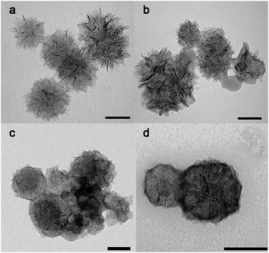 TEM images of covalently functionalized carbon nanohorns. TEM scale bar: 100 nm. Images reproduced with permission from ref. 140. Copyright (2009) The Royal Society of Chemistry.