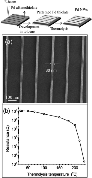 (Top) Schematic of the procedure adopted: step 1, spincoating of the Pd hexadecylthiolate on a Si surface, EBL patterning; step 2, developing the patterned substrate in toluene and; step 3, thermolysis of Pd thiolate nanowires at 250 °C to give Pd nanowies. (a) SEM images showing thermolyzed Pd nanowires, (b) semilog plot of resistance versus thermolysis temperature (from ref. 37).