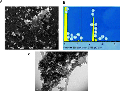 Representative (a) SEM microgram, (b) EDS pattern and (c) TEM microgram of N-doped TiO2 nanocatalyst.