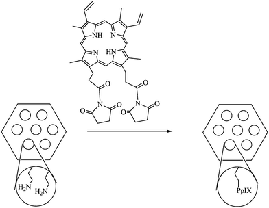 PpIX-modified pores of MSN.