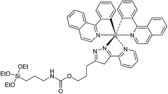 Ir(iii) complex.