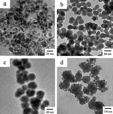 TEM images of Fe3O4 nanoparticles (a), NaYF4 nanoparticles (b), NaYF4@SiO2 nanoparticles (c) and Fe3O4/NaYF4 nanocomposites (d).