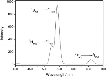 The typical luminescence spectrum of the Fe3O4/NaYF4 composites when they are excited by a NIR light (980 nm).