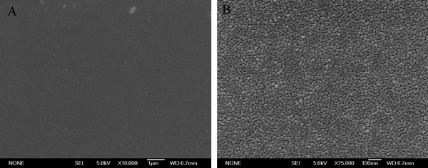 FESEM images for N–TiO2–10 film (A) at low and (B) high magnifications.