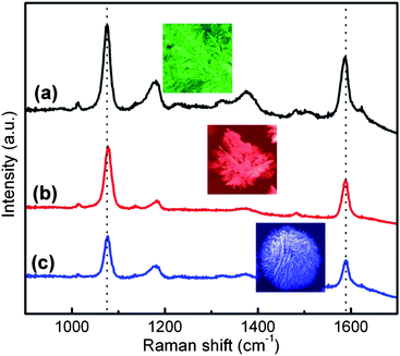 SERS spectra of mercaptobenzoic acid (MBA) absorbed on (a) silver dendrites, (b) silver flowers and (c) silver microspheres.