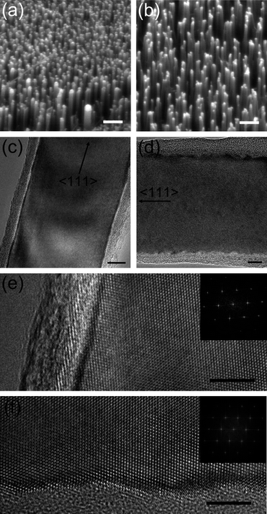 Electron microscope images of doped and undoped Si NWs. (a) SEM image of undoped Si NWs (scale bar = 2 μm). (b) SEM image of Si NWs doped through a 1 min prediffusion and a 1 h drive-in, both at 775 °C (scale bar = 2 μm). (c) TEM image of an undoped Si NW (scale bar = 10 nm). (d) TEM image of a Si NW doped through a 1 min prediffusion at 800 °C and a 30 min drive-in at 850 °C, with an expected active boron concentration of ∼5 × 1019 cm−3 (scale bar = 10 nm). (e–f) High magnification TEM images of sidewall segments for the undoped NW in (c) and the doped NW in (d), respectively. The scale bar is 5 nm for both images. The inset Fourier transforms in (e) and (f) indicate that each of these wires possesses a <111> growth direction, and that a high quality single crystal is retained through the doping process.