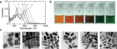 Extinction spectra, macroscopic photographs, and TEM images of Au–Ag core–shell nanorods prepared by using different amount of AgCl particles. (a) Extinction spectra at 180 min after the addition of AgCl particles at room temperature. Molar ratios of Ag/Au were 57 (i), 28.5 (ii), 19 (iii), 14.2 (iv), 9.5 (v), and 7.1 (vi). Concentration of silver ions was constant (0.25 mM). (b) Macroscopic photographs of reaction solutions. (c) TEM images of the core–shell nanorods. The scale bars indicate 50 nm.