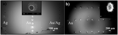 Inkjet printed dots after CVD experiment with Sn(OtBu)4 of (a) Ag, Au and alloy dispersions with added CMC and (b) Au dispersion with added PEG.