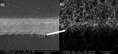 (a) SEM images of a line pattern of nanoparticles monolayer after CVD experiment with Sn(OtBu)4 with focusing on the border (b) to demonstrate the regioselective growing of SnO2 nanowire.