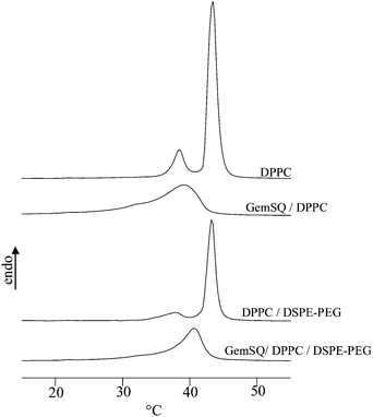 DSC scans of MLV mixtures. Heating cycles were performed at 5 °C min−1.