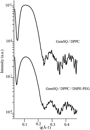 SAXS patterns of GemSQ/DPPC and GemSQ/DPPC/DSPE-PEG extruded liposomes at room temperature (log. scale).