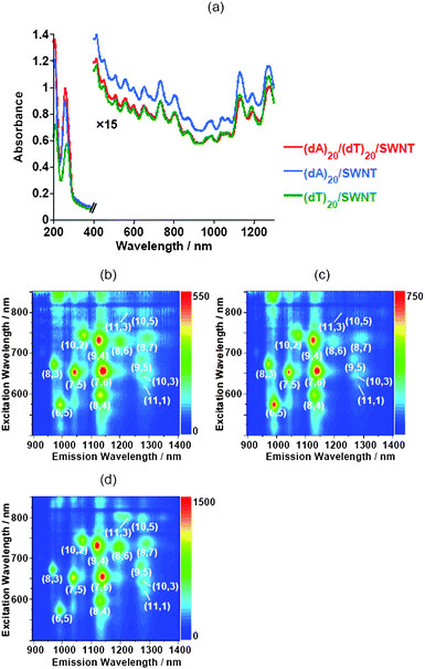 UV-visible-near IR absorption spectra (a) and near-IR PL mappings of the SWNT solutions dissolved with (dA)20/(dT)20 (b), (dA)20 (c) and (dT)20 (d).