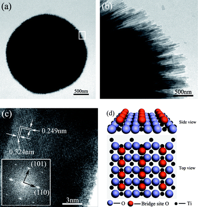 (a), (b) and (c) Transmission electron microscopy (TEM) images. The inset in (c) shows the selected area electron diffraction (SAED) pattern of a TiO2 nanorod obtained after reaction at 160 °C for 10 h. (d) The schematic model of TiO2 (110).