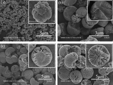 Time-dependent SEM images of the products (obtained at 200 °C) with different magnifications: (a) 2 h; (b) 5 h; (c) 10 h and (d) 20 h.