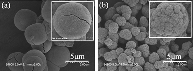 SEM images of the products after reaction at 160 °C for 10 h, with nitric acid concentrations of (a) 30% and (b) 50%.