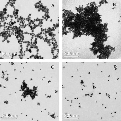 Transmission electron microscopic images of (A) citrate-stabilized Au NPs, (B) citrate-stabilized Au NPs in the presence of native protein (α-amylase) only, (C) citrate-stabilized Au NPs in the presence of 50% native and 50% denatured protein mixture and (D) citrate-stabilized Au NPs in the presence of 100% denatured protein. The total concentration of protein in all the samples was the same.