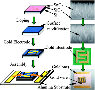 Fabrication procedure for the Pt-modified SnO2 nanorod sensors.