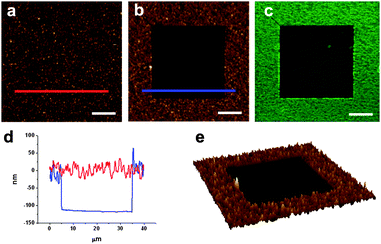 (a) AFM image of a fluorescein film deposited by spin-coating on glass. (b) AFM image of the same area after scratching a 30 × 30 μm2 region. (c) Corresponding confocal fluorescence image. (d) Height profiles taken from (b) showing the corrugation of the fluorescein film (red line) and the thickness of the film removed by scratching (blue line). Finally an AFM 3D image of the scratched area is shown in (e). Scale bars are 10 μm.