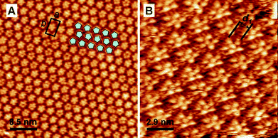 Representative STM images of ISA-D7 at the Au(111)–water (0.1 M HClO4) interface. Ew = 350 mV vs. SCE; It = 1 nA; Ubias = −300 mV. Image B is slightly distorted due to drift during the measurement. The ellipse in B highlights the alkyl chains.