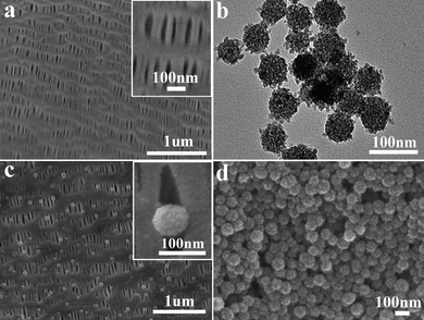 (a) SEM image of porous PP membrane; (b) TEM image of TiO2 porous nanospheres; SEM images of TiO2/PP composite with (c) 0.0029 mg and (d) 0.29 mg of TiO2 loading. The inserts in a and c are high resolution SEM images of the pores on the PP and TiO2/PP composites.